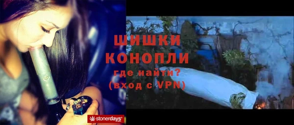 дмт Мегион