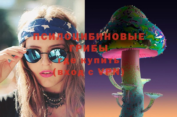 дмт Мегион
