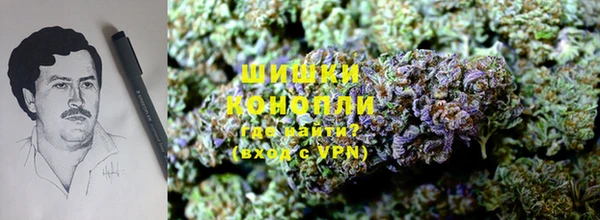 метадон Магас