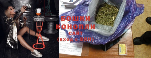 дмт Мегион