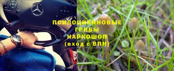 твердый Медногорск