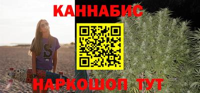 трава Гатчина