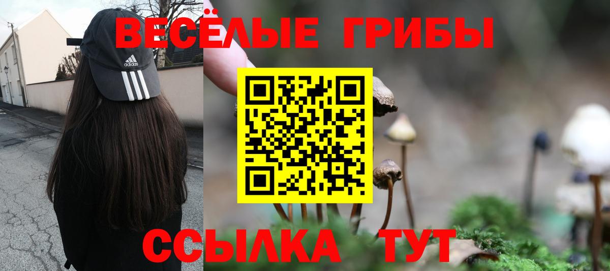 Псилоцибиновые грибы Cubensis  Вход с VPN  Нарьян-Мар 